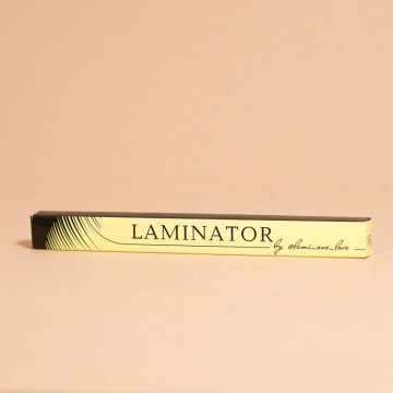 Laminator brush