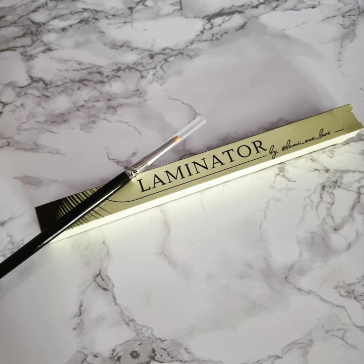 Laminator brush